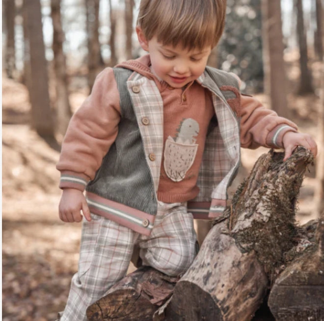 Elegant Baby Reversible Dinosaur Varsity Jacket