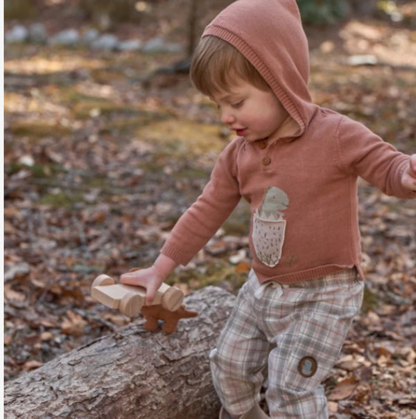 Elegant Baby Dinosaur Hooded Sweater & Plaid Pants